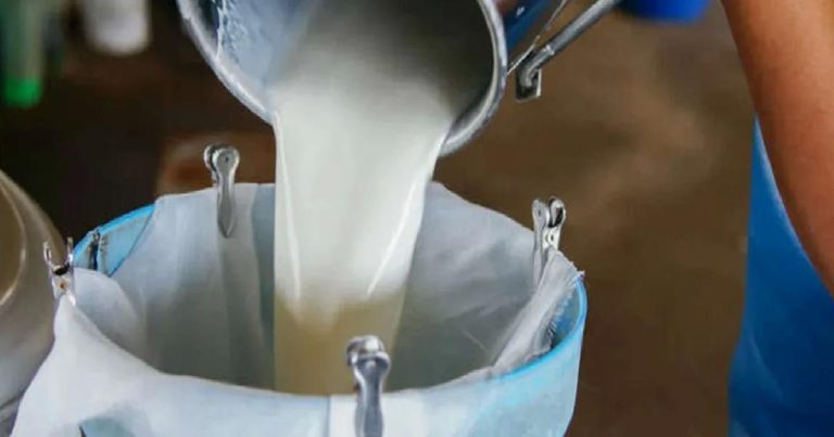 Çiğ süt kaç dakika kaynatılmalı?