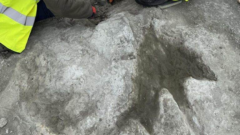 İngiltere’de 166 milyon yıl öncesine ait 200 dinozor ayak izi bulundu