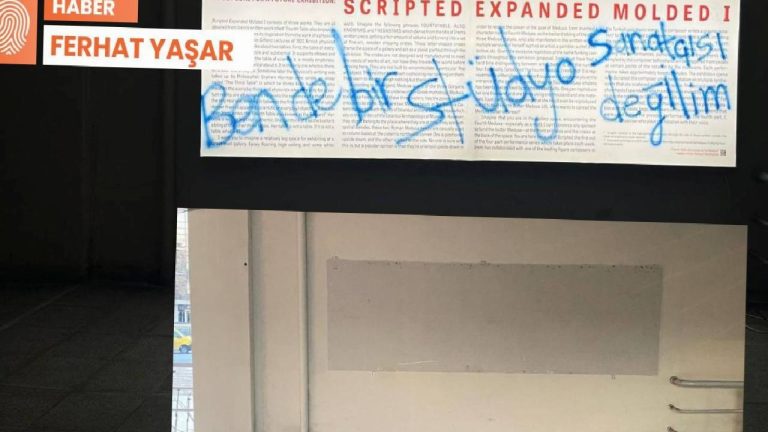 İrem Günaydın’ın eseri nerede: İMÇ’de sergileniyordu, kayboldu