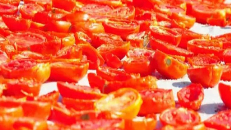 Kuru domates ihracatı yüzde 19 artarak 127 milyon doları aştı