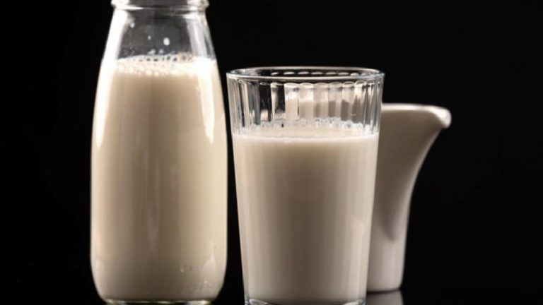 Çiğ süt destekleme ödemelerine ait temeller değişti
