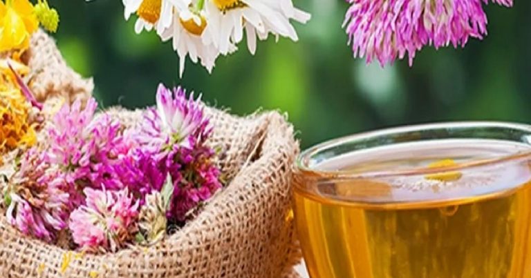 Midemize iyi gelen bitki çayları!