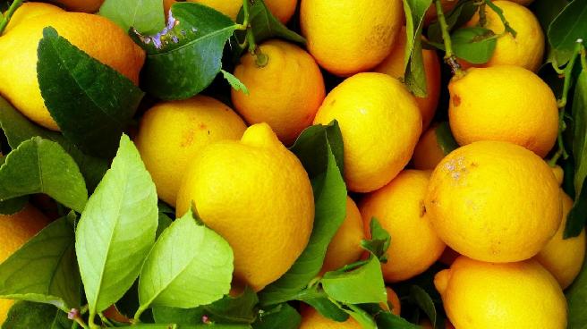 Dubai’ye gönderilen tonlarca limon geri çevrildi: İmha edildi