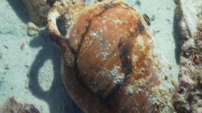Açılmamış 1100 yıllık amfora bulundu: İçinde zeytin çekirdekleri, zeytinyağı, şarap veya balık sosu olabilir