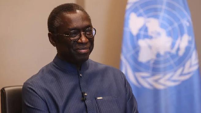 BM Koordinatörü Dieye: Terörün Panzehiri Kalkınmadır