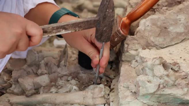 Çankırı’da Fosil Kazı Çalışmaları Devam Ediyor