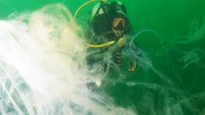 Marmara Denizi ‘nefes aldı’: Son araştırmalarda müsilaja rastlanmadı