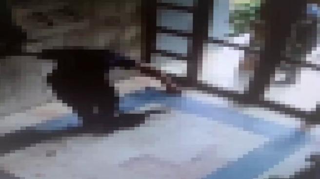 Başakşehir’de Kediyi İşkenceyle Öldüren Şüpheli Gözaltına Alındı