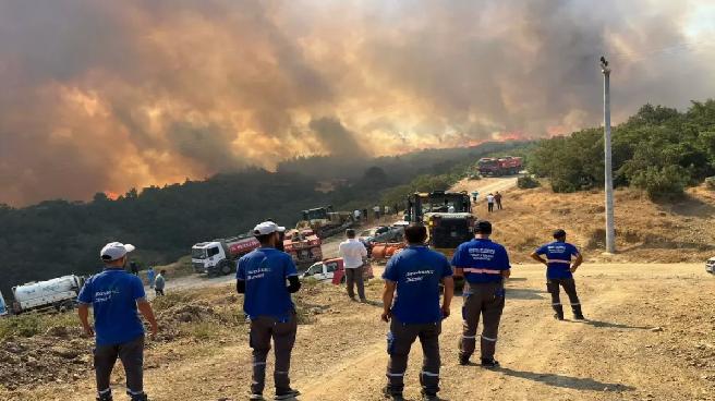 Bursa’da Orman Yangını: 40 Bağ Evi Tahliye Edildi
