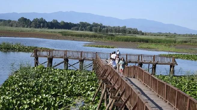 Efteni Gölü Kuş Cenneti: Doğaseverlerin Haftasonu Tercihi