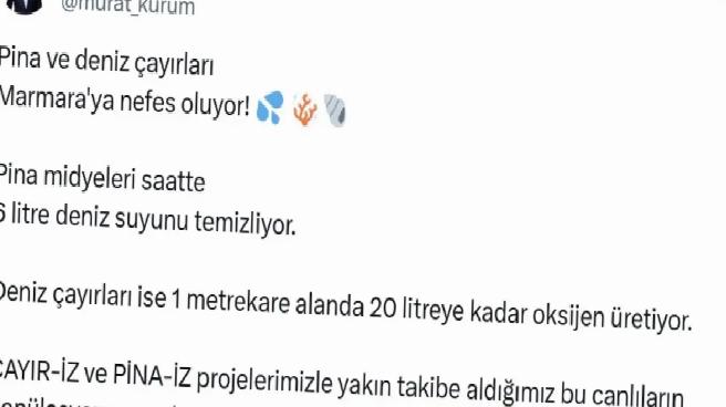 Marmara Denizi’nde Müsilajla Mücadele İçin Yeni Projeler Başlatıldı