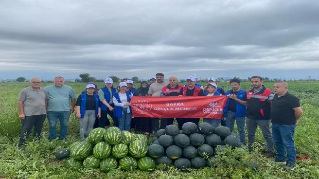 Samsun’da Gençler Karpuz Hasatında Gönüllü Oldu