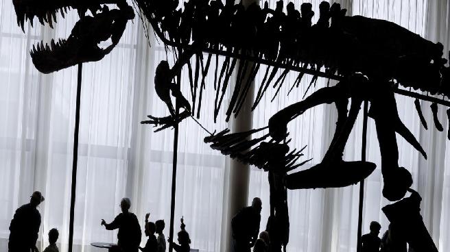 9 bin yıllık kaya çizimleri, eski insanların dinozorları bildiğini ortaya çıkardı