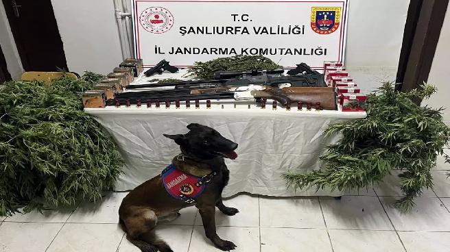 harranda-uyusturucu-ve-silah-kacakciligi-operasyonu-3-gozalti-xjcVWmIH.jpg