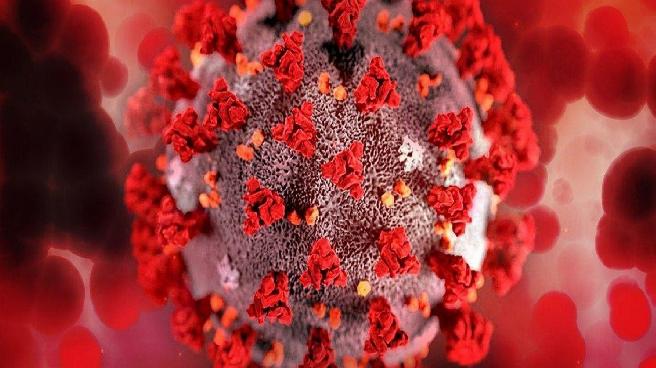 Lassa ateşi salgını yayılıyor: Can kaybı 162’ye yükseldi