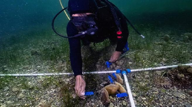 PİNA-İZ’in ilk bebeği Marmara’ya “umut” oldu