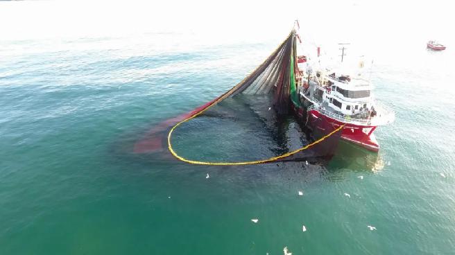 Sinop’ta Balıkçılar Yeni Sezona Umutla Başladı