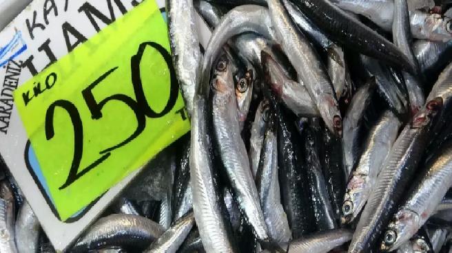 Balıkçılar Hamsi Bolluğuyla Karşılaştı