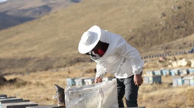 Dede Mesleği Arıcılığı 3. Kuşak Temsilcisi Ahmet Yetkin