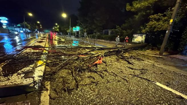 Edirne’de Şiddetli Yağış Ve Ağaç Devrilmesi