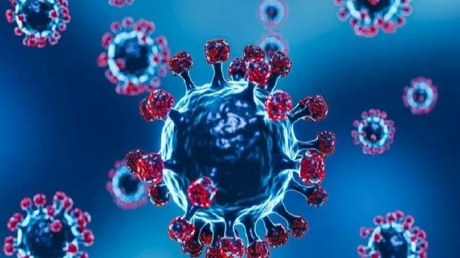 Frankenstein varyantı… COVID-19’da yeni tehlike!