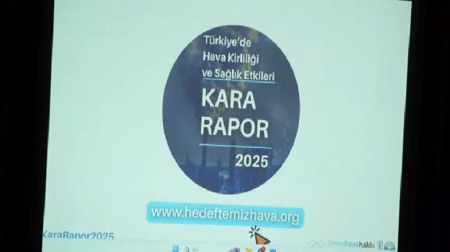 ‘İstanbul’un soluduğu hava Dünya Sağlık Örgütü’nün önerdiğinin 2,5 katı daha kirli’