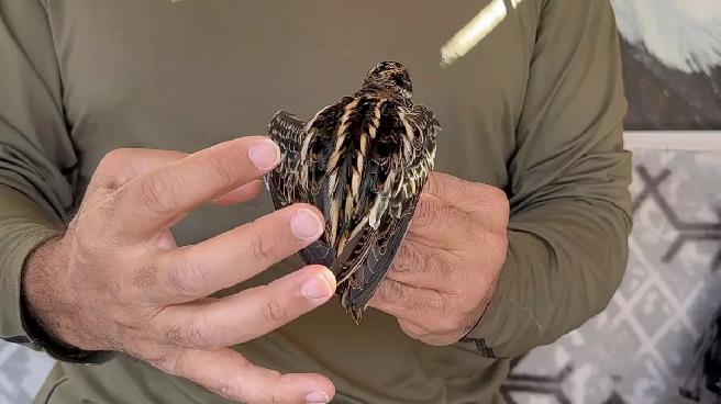 Nadir Görülen Küçük Suçulluğu Iğdır’da Halkalandı