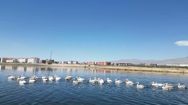 Niğde’de Kuraklık Baraj Su Seviyelerini Düşürdü