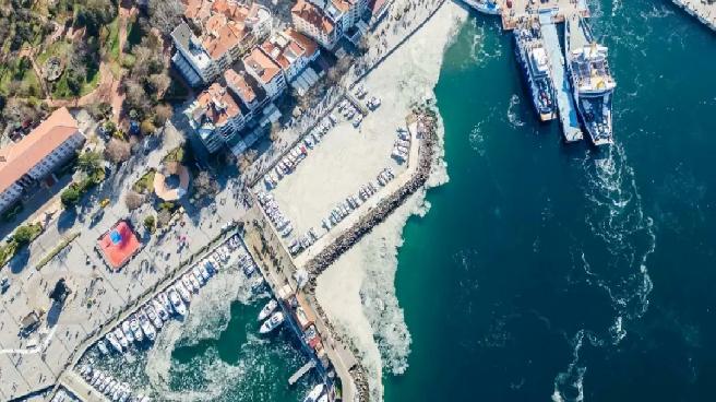 ‘Planktonla beslenen balıkların stok yoğunluğu kontrol edilmeli’ / Video eklendi