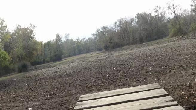 Türkiye’nin 3’üncü büyük longozu da kurudu