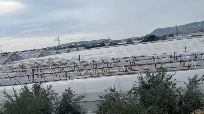 Antalya’da Kuvvetli Yağış Sebebiyle Seralara Zarar