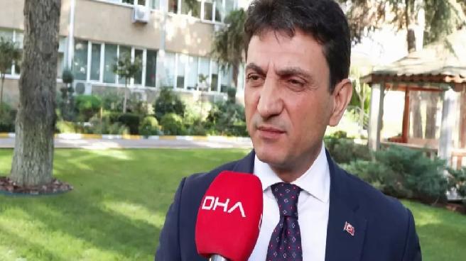 İstanbul’da da ‘kahverengi korkarca’ ile mücadele