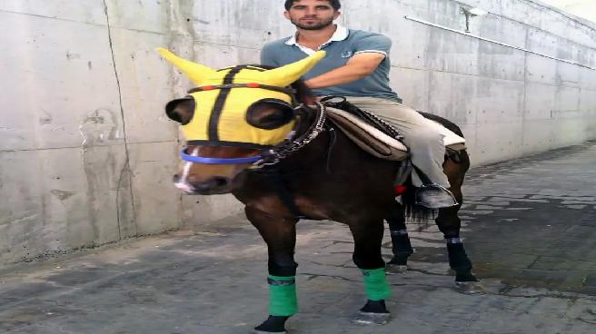 Kırmızı Işıkta Geçen Araç Motosiklet Sürücüsünü Ağır Yaraladı