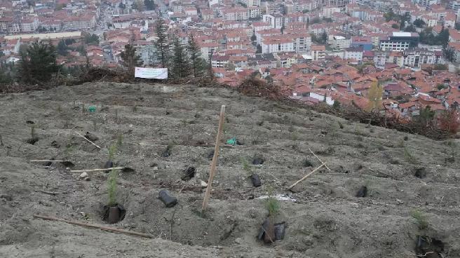 Samsun ve çevre illerde “Milli Ağaçlandırma Günü” dolayısıyla fidan dikimi yapıldı