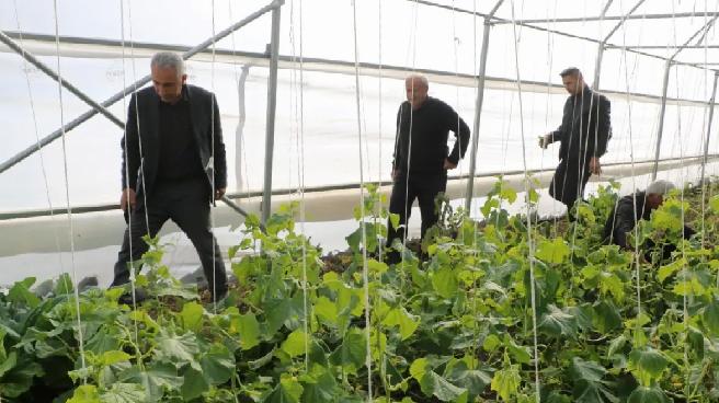 Yüksekova’da Köye Dönüş Projesi ile Tarıma Dönüş