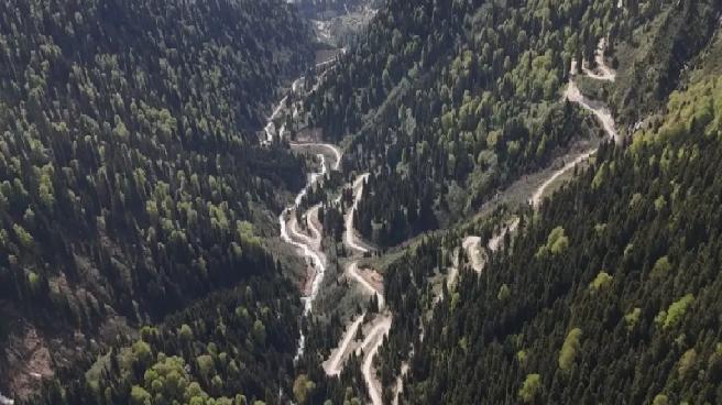Karadeniz’de yağış değişimi alarmı; orman varlığı gençleştiriliyor
