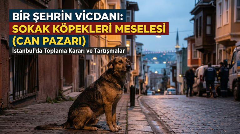 Bir Şehrin Vicdanı: Sokak Köpekleri Meselesi (CAN PAZARI)
